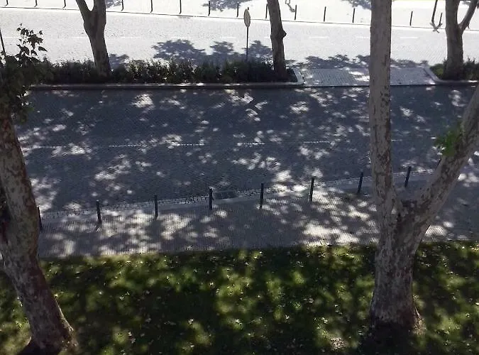 Nas Palhas Deitado Guest house